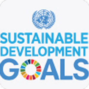 Che cos‘ è Agenda 2030
